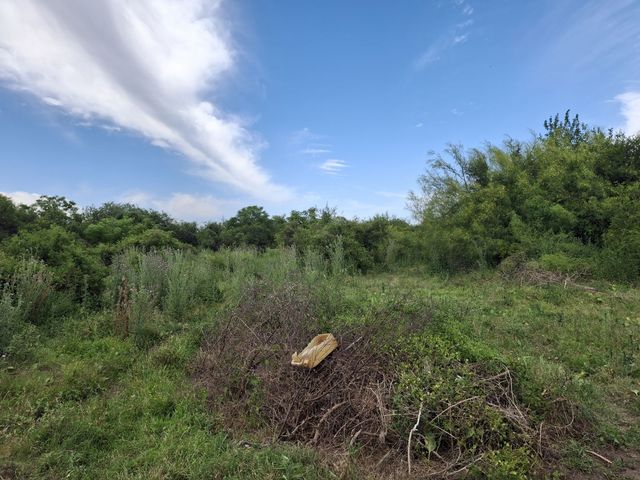 place photo 66