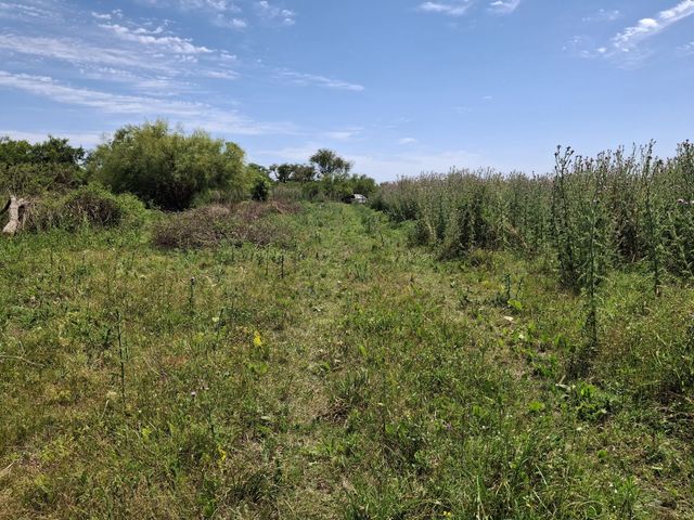 place photo 75
