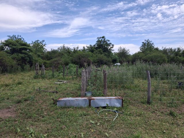 place photo 60