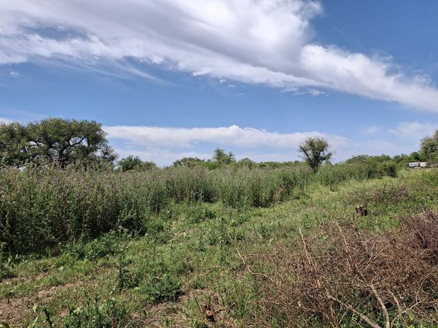 place photo 43