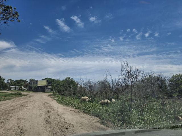 place photo 55