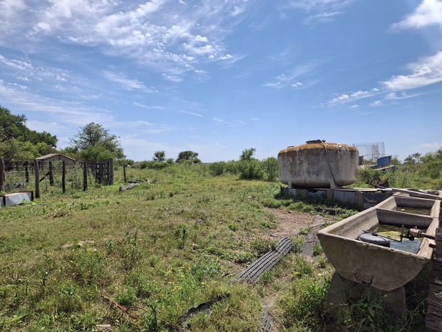 place photo 37