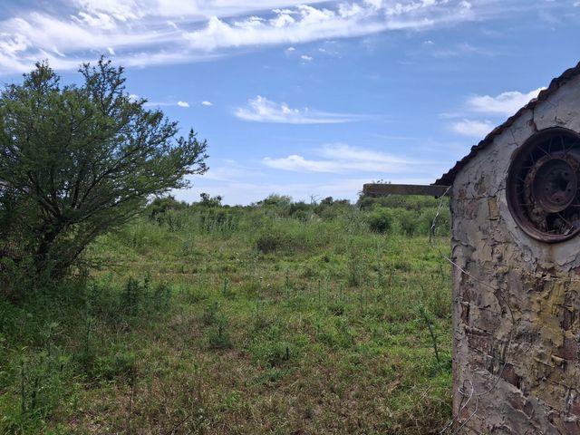 place photo 86