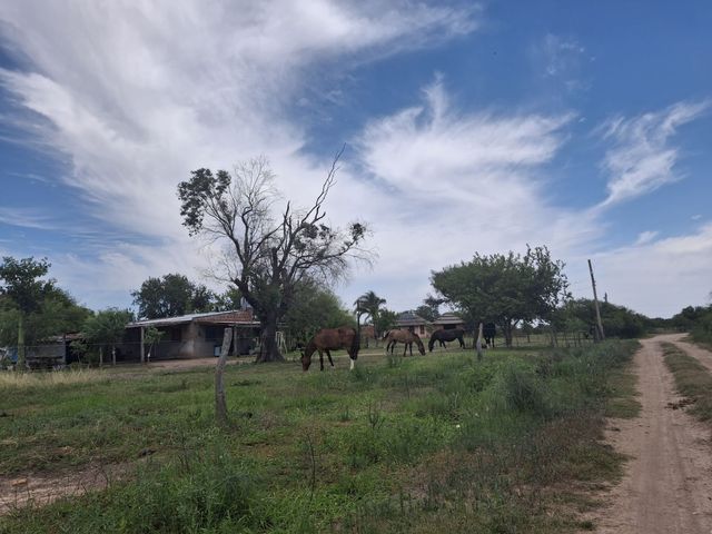 place photo 52