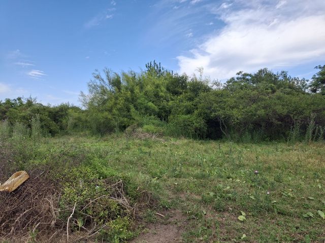 place photo 59