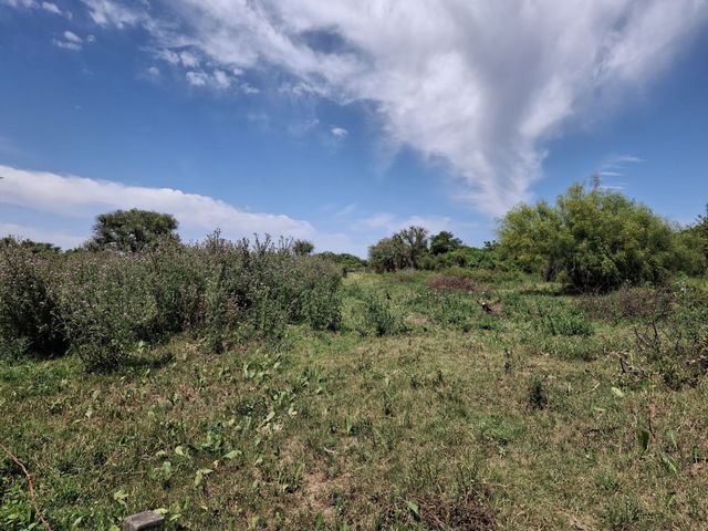place photo 81