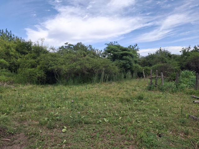 place photo 71