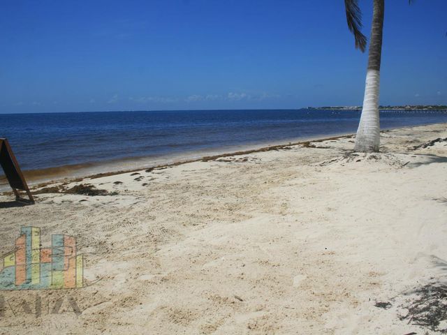 place photo 33
