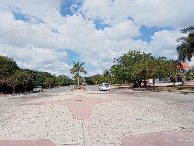 place photo 12
