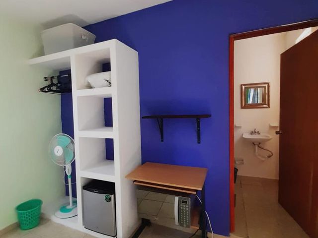 place photo 16