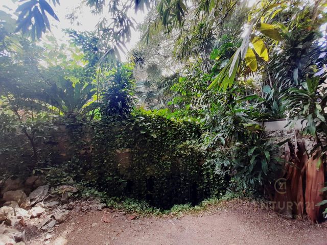 place photo 26