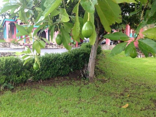 place photo 23
