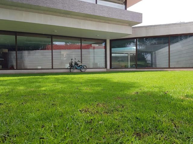 place photo 38