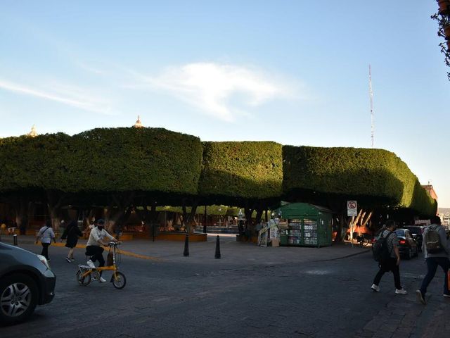 place photo 15