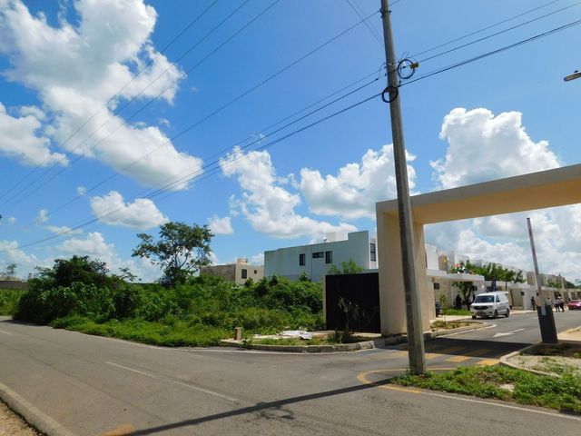 place photo 7