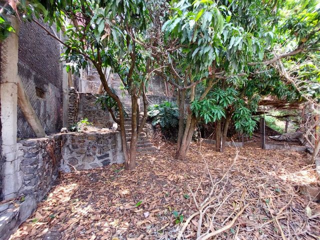 place photo 32