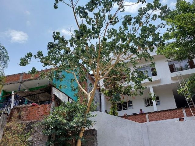 place photo 34