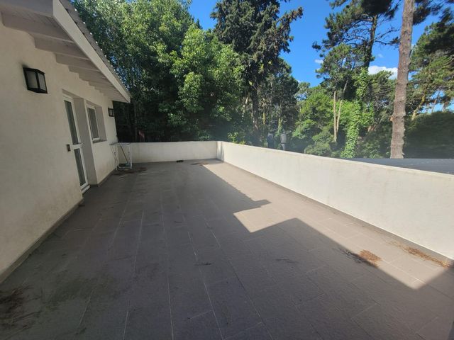 place photo 56