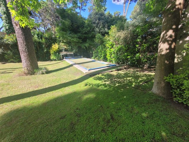 place photo 61