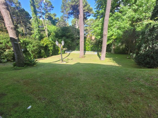 place photo 62