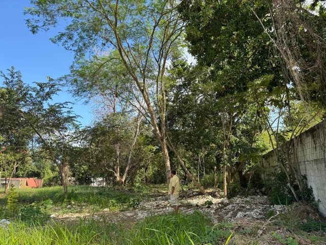 place photo 14