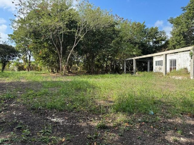 place photo 13