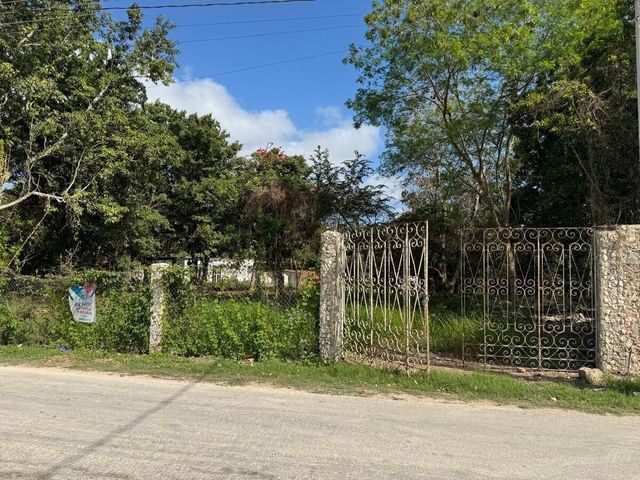 place photo 11