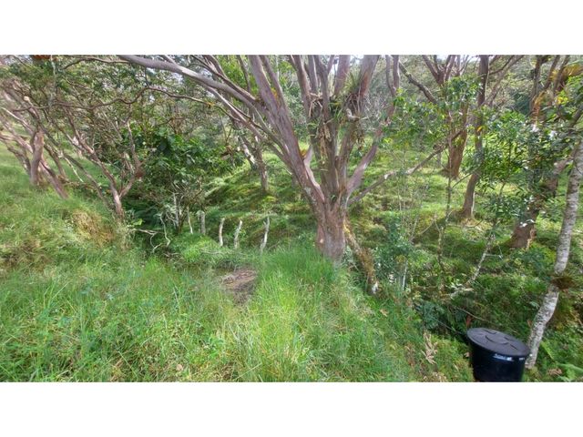 place photo 48
