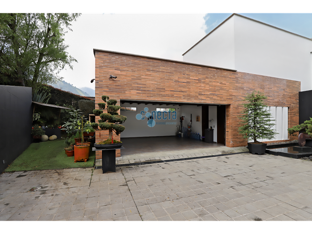 place photo 44