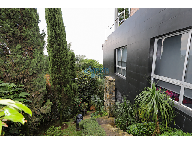place photo 46