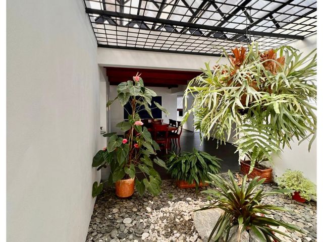 place photo 35