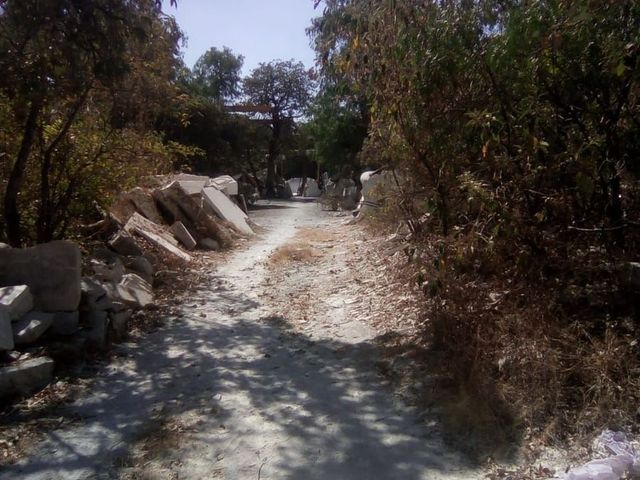 place photo 21