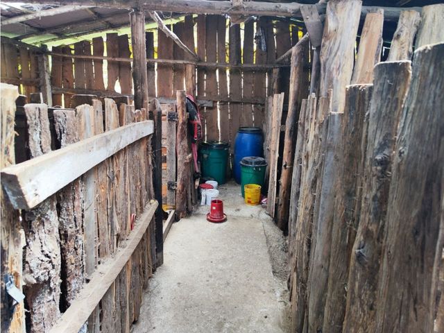 place photo 43