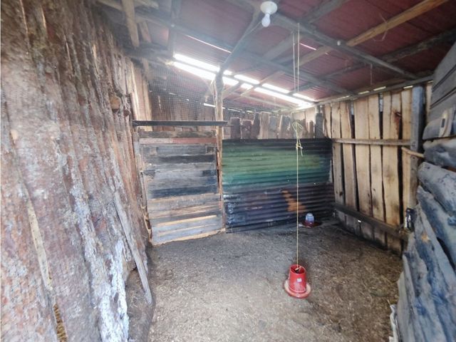 place photo 39