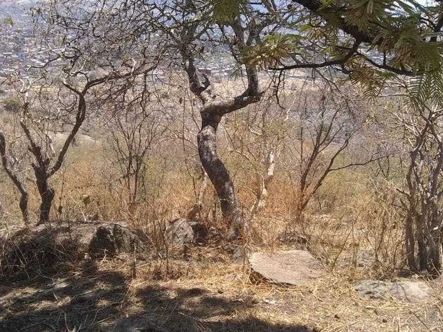 place photo 23