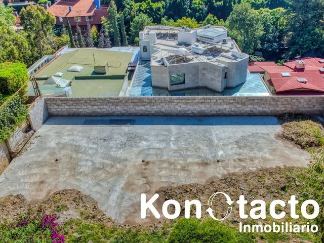 place photo 30
