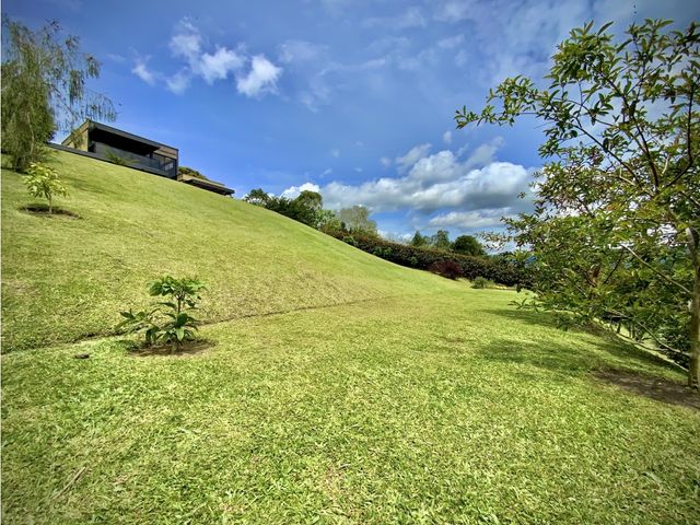 place photo 76