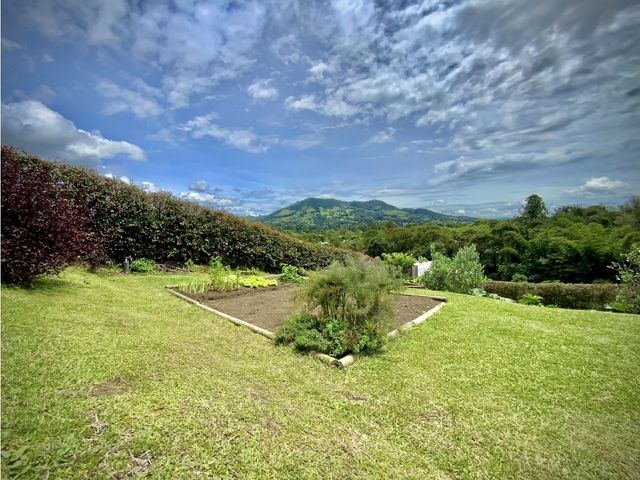 place photo 81