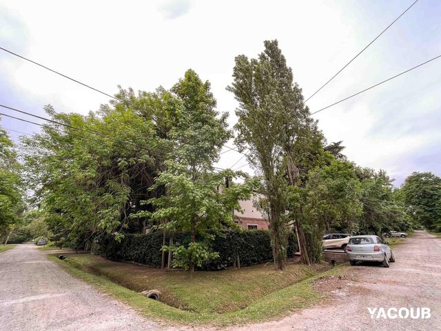 place photo 21