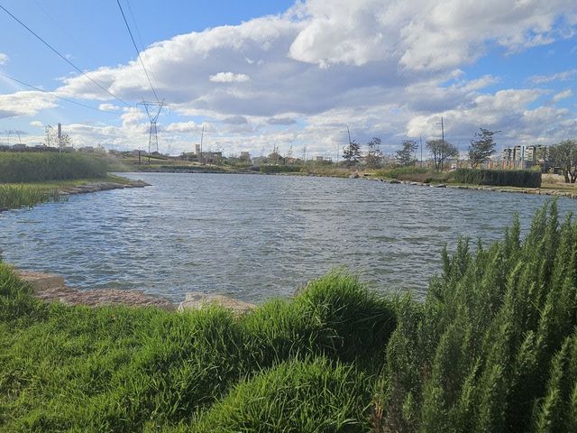 place photo 34
