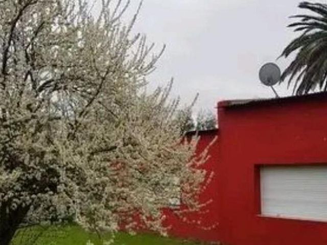 place photo 21