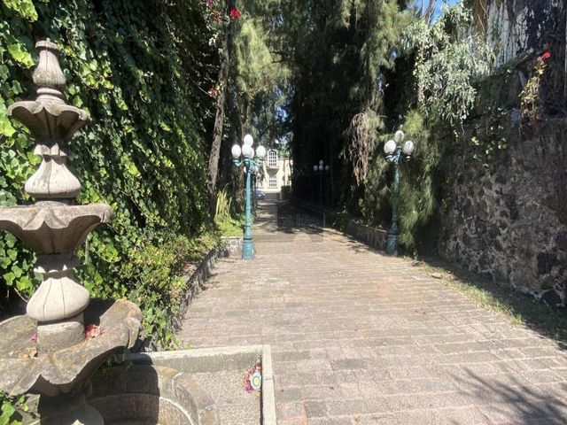 place photo 12