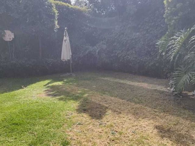 place photo 46