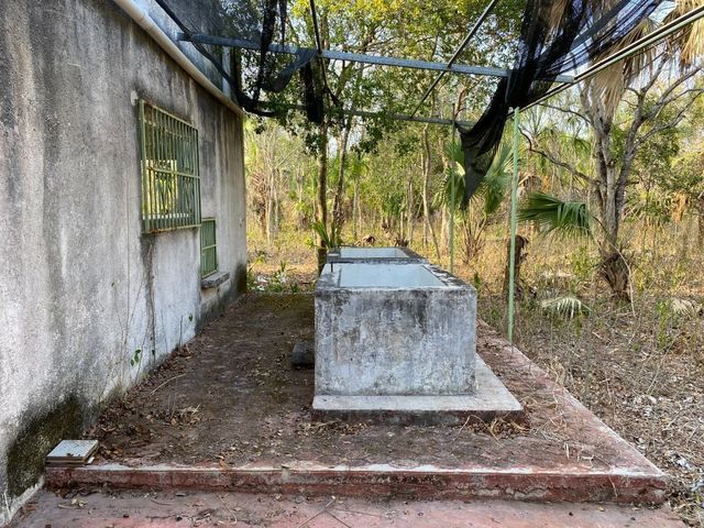 place photo 29