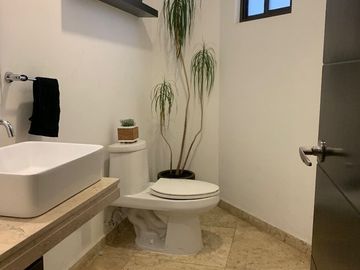place photo 46