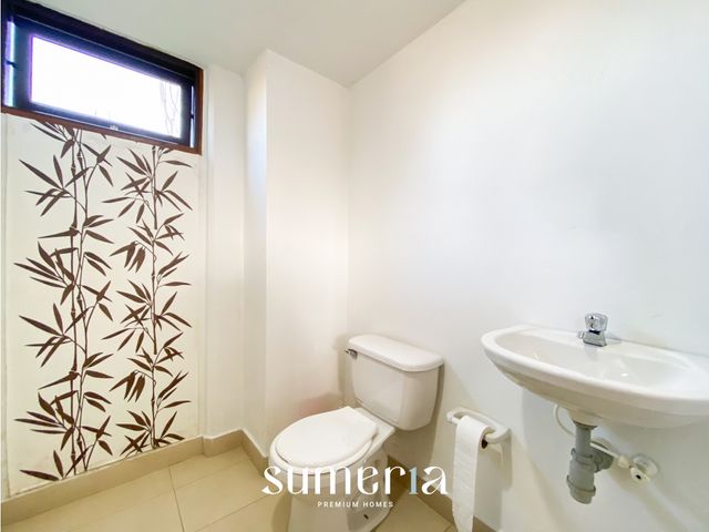 place photo 51