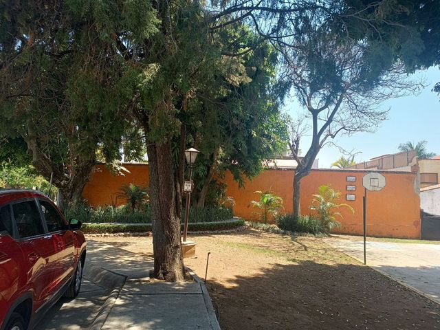 place photo 45
