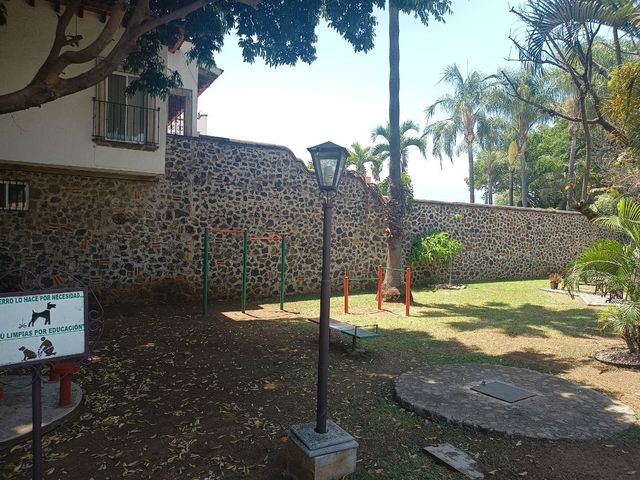 place photo 43
