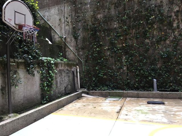 place photo 35