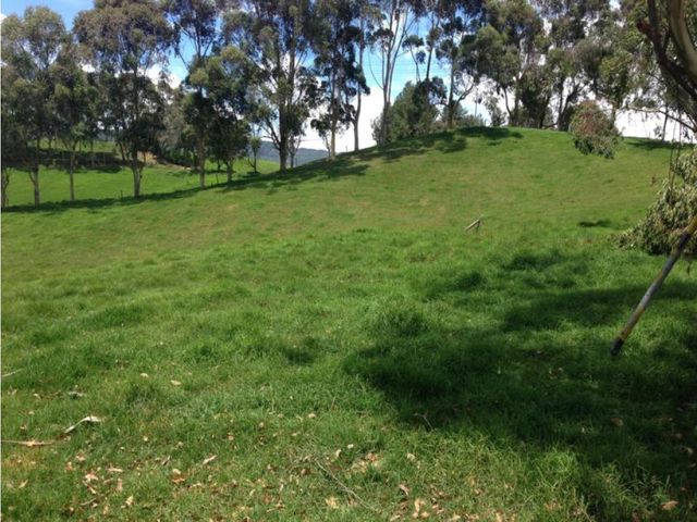 place photo 10